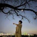 푸른밤 이미지