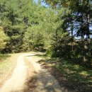 도사곡길 이미지