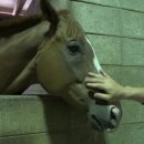 칠원지구대 이미지