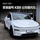 법곳길 115번길 | 일산 테슬라 썬팅, 모델Y 후퍼옵틱 KBR 신차 패키지 시공 후기