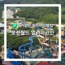 주말에 인기 슬라이드 7번 탄 꿀팁! 오션월드 얼리파크인 및 추천 동선