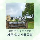 한국마사회제주경주마육성목장 | 제주 힐링 목장 추천! 성이시돌목장 후기 | 우유부단 아이스크림 & 명예경주마 이야기
