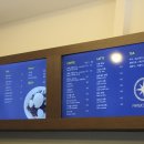 파페모에 이미지