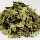 삼백초한의원 이미지