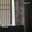 4월 마지막 일상: 너는 이미 훌륭한 코뿔소야. 그러니 이제 훌륭한 펭귄이 되는 일만 남았네.