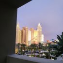 엠지엠(MGM) 이미지