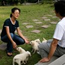 장수풍뎅이마을 이미지