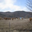 구산농장 이미지