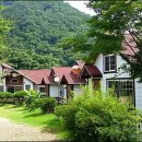 라스텔라편백숲 이미지