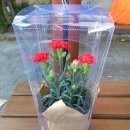 다이소(종암동) 이미지