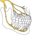연희세브란스치과의원 이미지