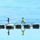 사우초교 이미지