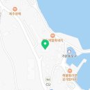 애향식당 | 제주산 은갈치조림 맛집 애향 혼밥하고 왔어요