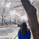 이충분수공원1 이미지