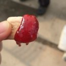 은혜농장2 이미지