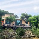 개멍물멍 이미지