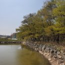 산수유 둘레길 이미지