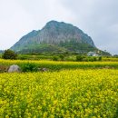 산방산
