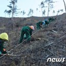곡성-187 이미지