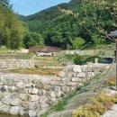 비학산 자연휴양림 이미지