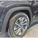 비비웍스 이미지