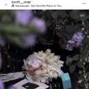 더유스(THE YOUTH) | [유스스냅(Youth Snap] 본식 아이폰 스냅 계약 후기