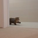 뚱땅뚱땅 이미지