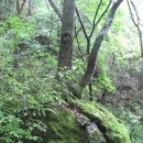 소양강둘레길 1코스 이미지