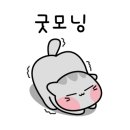 뚱냥이네 이미지