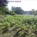 신해1리경로당 이미지