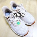 오*한 | 여행 신발,트래킹화 추천 한달 써본 솔직 후기 <오쏘핏>