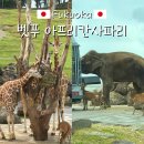 우아한상점 | 후쿠오카 벳푸 아프리칸사파리 주말 방문후기