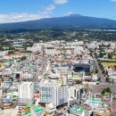 대정농업협동조합 농산물산지유통센터 이미지