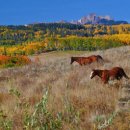 고운미소 이미지