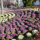 용강동행정복지센터 이미지