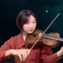 데이지바이올린