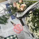 동읍678 | 부산 명지 로이플 스튜디오(셀프 웨딩촬영 도전기, 셀프 부케&amp;부토니아)