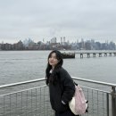 미국 뉴욕 | 윌리엄스버그, NYC Ferry, 덤보, Juliana&#39;s Pizza, 뮤지컬 알라딘