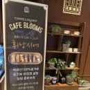 CAFE BLOOMS(카페블룸스) 이미지