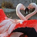 행복의 원 이미지