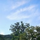 (주)행복은행나무 이미지