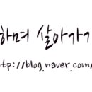 도봉-쌍문-도봉-1141 이미지