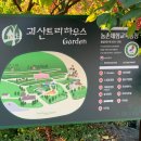 충북 가볼만한곳 동화같은 예쁜 정원이 있는 괴산트리하우스가든