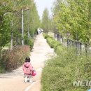 마포, 걷고싶은길 6코스 이미지