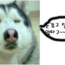 기본으로 알아두면 좋은 Make Up Tip 이미지