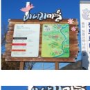 비나리마을 Daum카페