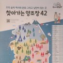 제주고투어