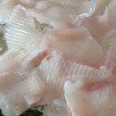 전남회타운 이미지