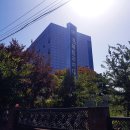 경북외국어대정문앞 티스토리