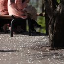 정원사진관 이미지